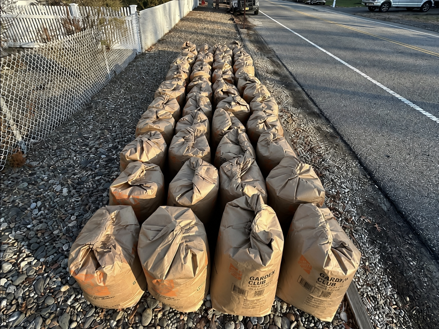 Rows of filled yard-waste bags following a property cleanup
